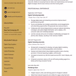 Clean Modern Resume Format