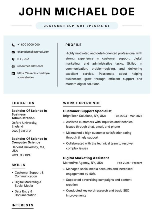 Professional Minimalist CV Template