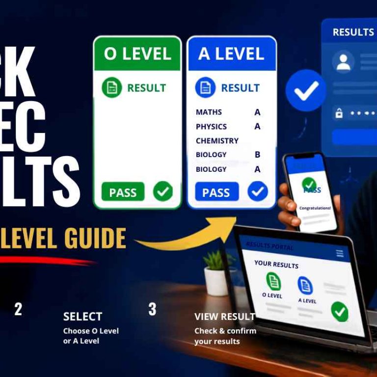 ZIMSEC Results Zimbabwe